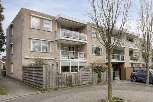 Vijgendam103901slVeenendaalNL-31 bijgesneden.jpg